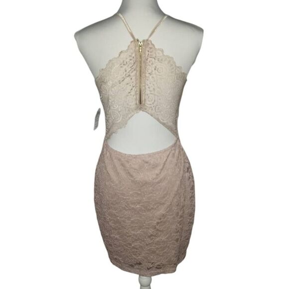WINDSOR NATURAL/BLUSH LACE DRESS SZ.L NWT. - Picture 9 of 12